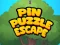 Leikur Pin Puzzle Escape á netinu