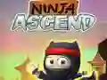 Leikur Ninja Stig á netinu Leikur Ninja Stig á netinu