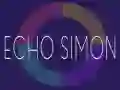 Leikur Ekkó Simon á netinu Leikur Ekkó Simon á netinu