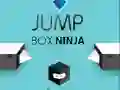 Leikur Ninja Hoppu Kassi á netinu Leikur Ninja Hoppu Kassi á netinu