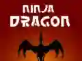 Leikur Ninja Drekki á netinu Leikur Ninja Drekki á netinu