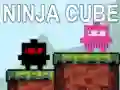 Leikur Ninja Kúb á netinu Leikur Ninja Kúb á netinu