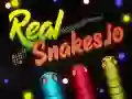 Leikur Raunverulegir Snákar.io á netinu Leikur Raunverulegir Snákar.io á netinu