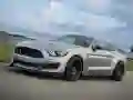 Leikur Mustang Shelby Pusla á netinu