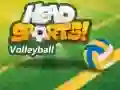 Leikur Head Sports Blakksjúkur á netinu Leikur Head Sports Blakksjúkur á netinu