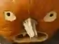 Leikur 5 í 1 Myndapuzzle: Halloween á netinu Leikur 5 í 1 Myndapuzzle: Halloween á netinu