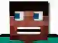 Leikur Block Craft Lifun á netinu Leikur Block Craft Lifun á netinu