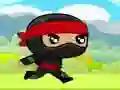 Leikur Ninja á netinu