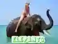 Leikur Fíla Púsl á netinu