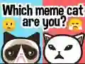 Leikur Hvaða meme köttur ertu? á netinu Leikur Hvaða meme köttur ertu? á netinu