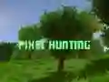 Leikur Píxelsýning á netinu