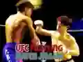 Leikur UFC Bardaga Leikur Jigsaw á netinu