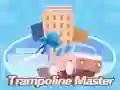 Leikur Trampoline meistarinn á netinu Leikur Trampoline meistarinn á netinu