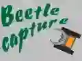 Leikur Bjálka fanga á netinu