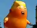 Leikur Flugævintýri Trumps á netinu Leikur Flugævintýri Trumps á netinu
