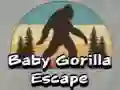 Leikur Flóttinn Baby Gorilla á netinu Leikur Flóttinn Baby Gorilla á netinu