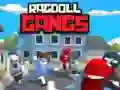 Leikur Ragdoll ríkir á netinu