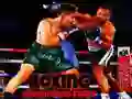 Leikur Boxing Champions Barátta á netinu Leikur Boxing Champions Barátta á netinu