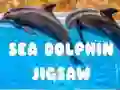 Leikur Sjó delfín púsl á netinu