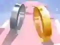 Leikur Ástarrengur 3D á netinu Leikur Ástarrengur 3D á netinu