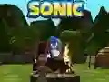 Leikur Sonic ofurhetjari hlaup 3D á netinu Leikur Sonic ofurhetjari hlaup 3D á netinu