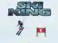 Leikur Ski Konungur á netinu Leikur Ski Konungur á netinu