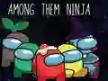 Leikur Með þeim Ninja á netinu Leikur Með þeim Ninja á netinu