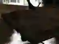 Leikur Drift Z á netinu Leikur Drift Z á netinu