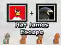 Leikur Flóttinn James með Húfu á netinu Leikur Flóttinn James með Húfu á netinu