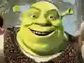 Leikur Shrek Puzzle Safn á netinu Leikur Shrek Puzzle Safn á netinu