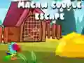 Leikur Macaw Par Flótta á netinu Leikur Macaw Par Flótta á netinu
