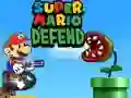 Leikur Super Mario Vörn á netinu