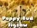 Leikur Poppy Bud ráðgáta á netinu Leikur Poppy Bud ráðgáta á netinu