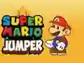 Leikur Super Mario Hopper á netinu Leikur Super Mario Hopper á netinu