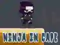 Leikur Ninja í Kápu á netinu Leikur Ninja í Kápu á netinu