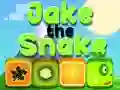 Leikur Jake Snákur á netinu Leikur Jake Snákur á netinu