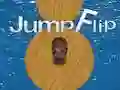 Leikur Stökk Flip á netinu Leikur Stökk Flip á netinu