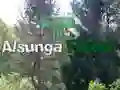 Leikur Aftur í Alsunga-skóginn á netinu Leikur Aftur í Alsunga-skóginn á netinu