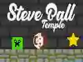 Leikur Steve Ball Musteri á netinu Leikur Steve Ball Musteri á netinu