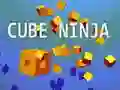 Leikur Kúb Ninjinn á netinu Leikur Kúb Ninjinn á netinu