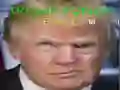 Leikur Trump Fyndni Andlit á netinu