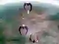 Leikur Scape Shotter á netinu Leikur Scape Shotter á netinu
