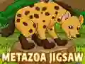 Leikur Metazoa Púsla á netinu Leikur Metazoa Púsla á netinu