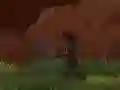 Leikur Fasa Ninja á netinu Leikur Fasa Ninja á netinu