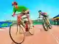 Leikur Þrautaleikur með hjólum BMX á netinu Leikur Þrautaleikur með hjólum BMX á netinu