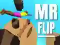 Leikur Herra Flip á netinu