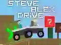 Leikur Steve Alex Akstur á netinu Leikur Steve Alex Akstur á netinu