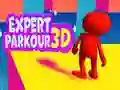 Leikur Sérfræðingur Parkour 3D á netinu Leikur Sérfræðingur Parkour 3D á netinu