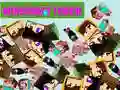 Leikur Minecraft Snerting á netinu Leikur Minecraft Snerting á netinu