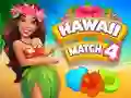 Leikur Hawaii Passa 4 á netinu